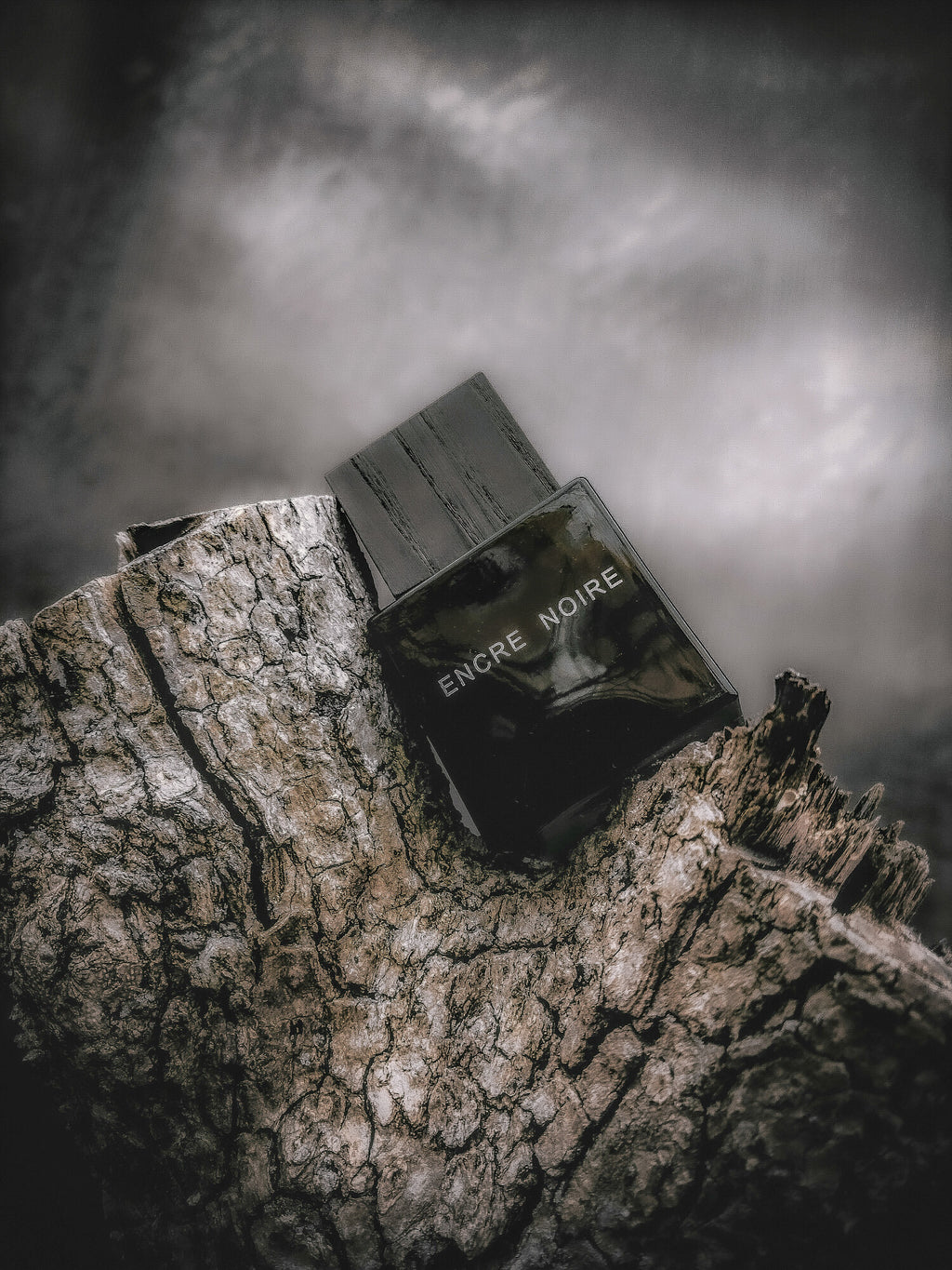 Lalique Encre Noire pour Homme EDT